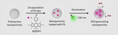 ROS generating BODIPY loaded nanoparticles for photodynamic eradication of biofilms